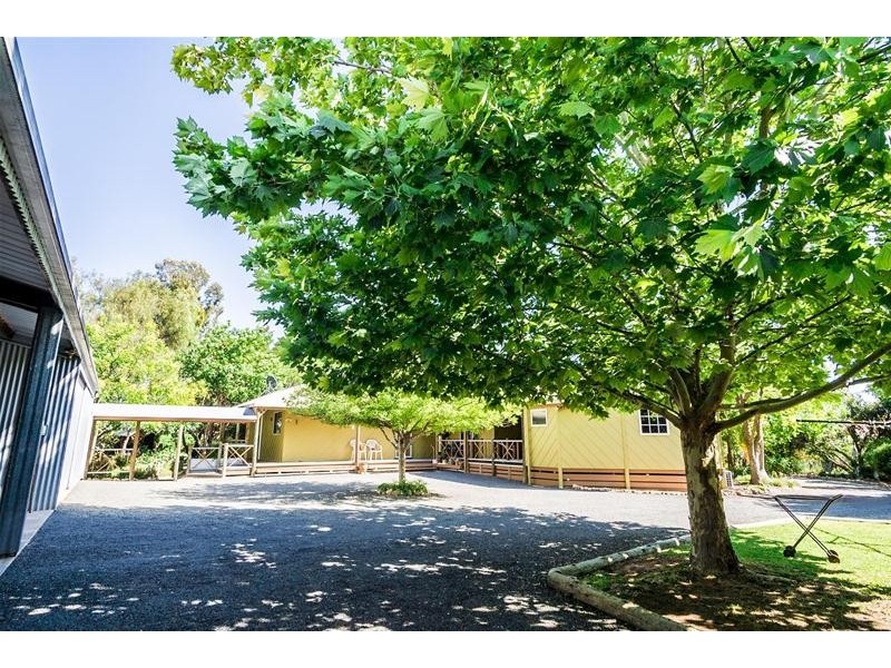 45 Fern Avenue, Irymple VIC 3498