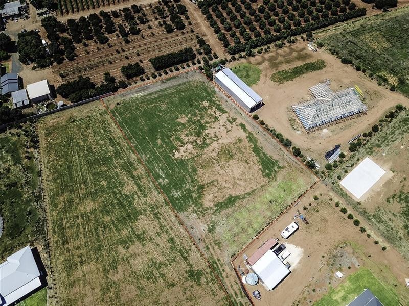 14 Moontongue Drive, Gol Gol NSW 2738