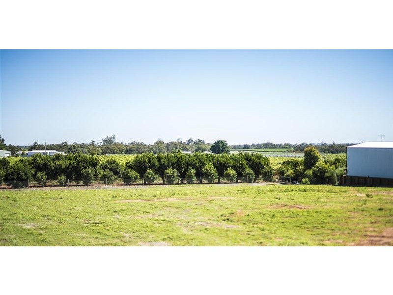 14 Moontongue Drive, Gol Gol NSW 2738