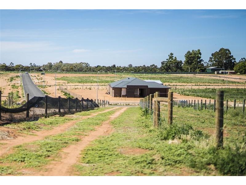 14 Moontongue Drive, Gol Gol NSW 2738