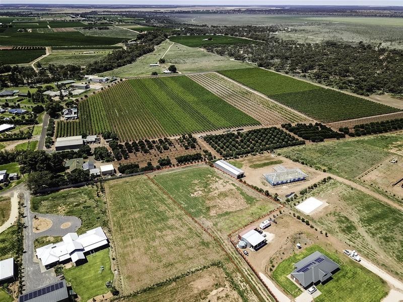 14 Moontongue Drive, Gol Gol NSW 2738