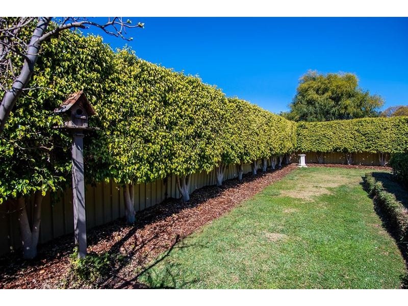 161 Twelfth Street, Mildura VIC 3500