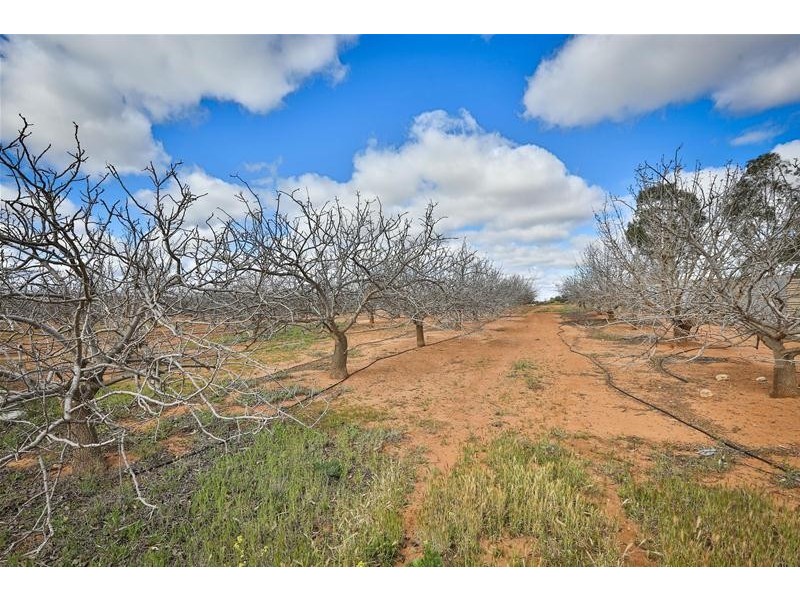 Lot 4/114 Barnett Road, Red Cliffs VIC 3496