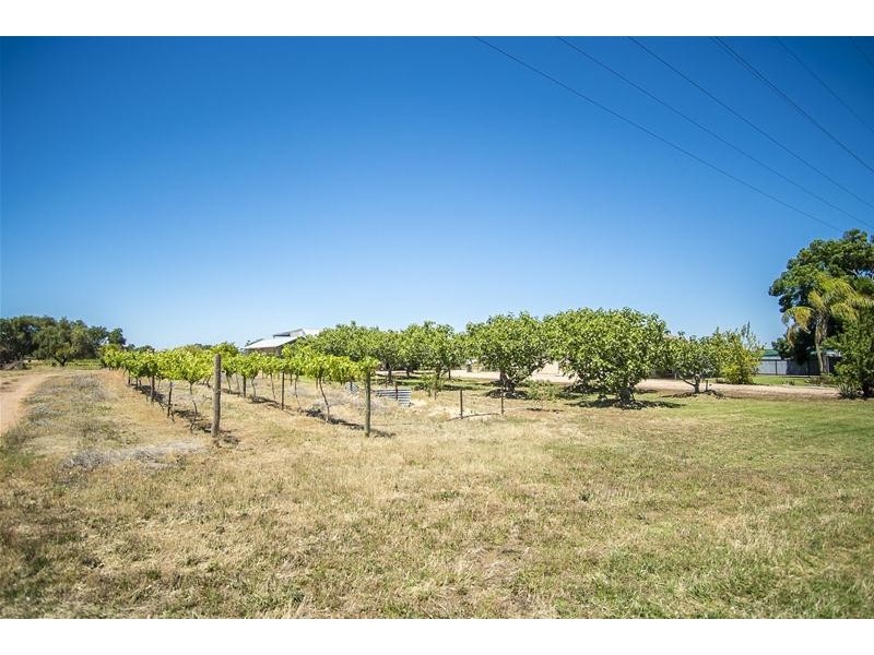 1226 Karadoc Avenue, Irymple VIC 3498