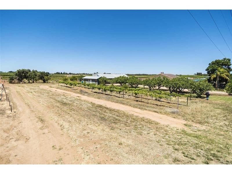 1226 Karadoc Avenue, Irymple VIC 3498