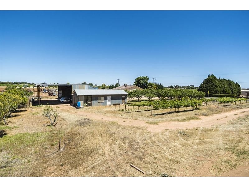 1226 Karadoc Avenue, Irymple VIC 3498
