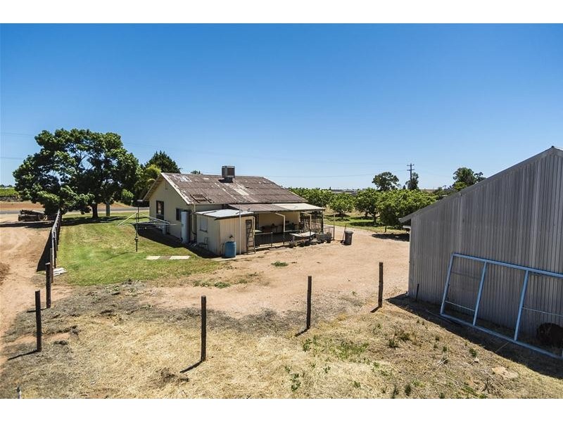 1226 Karadoc Avenue, Irymple VIC 3498