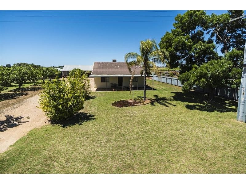 1226 Karadoc Avenue, Irymple VIC 3498