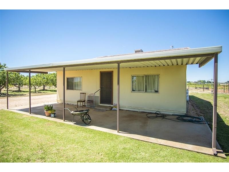 1226 Karadoc Avenue, Irymple VIC 3498