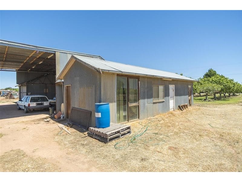1226 Karadoc Avenue, Irymple VIC 3498