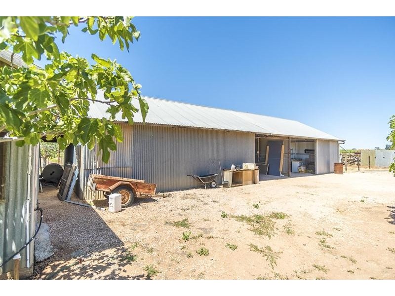 1226 Karadoc Avenue, Irymple VIC 3498