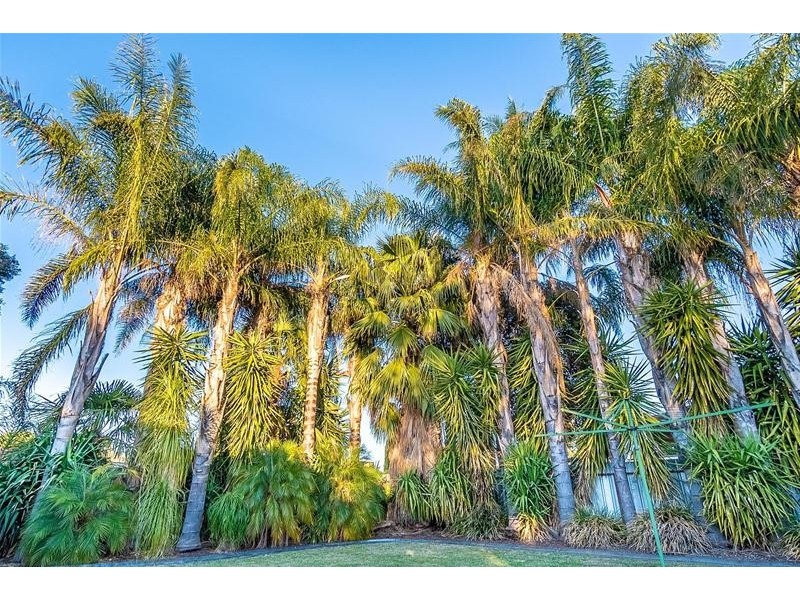 1 Zhoe Court, Mildura VIC 3500