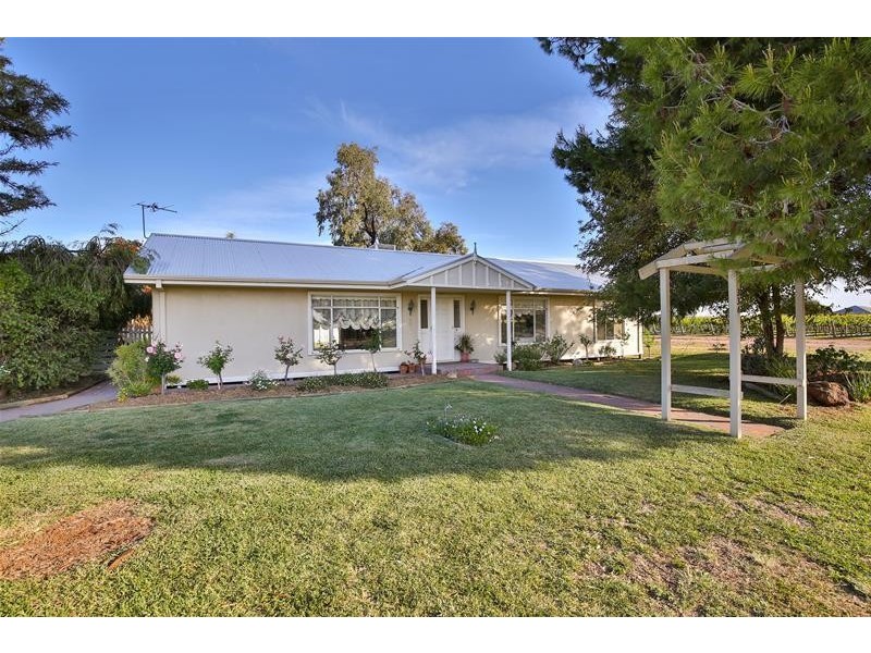 334 Irymple Avenue, Nichols Point VIC 3501