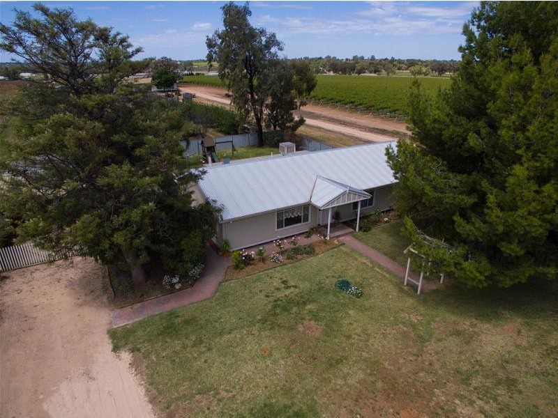 334 Irymple Avenue, Nichols Point VIC 3501