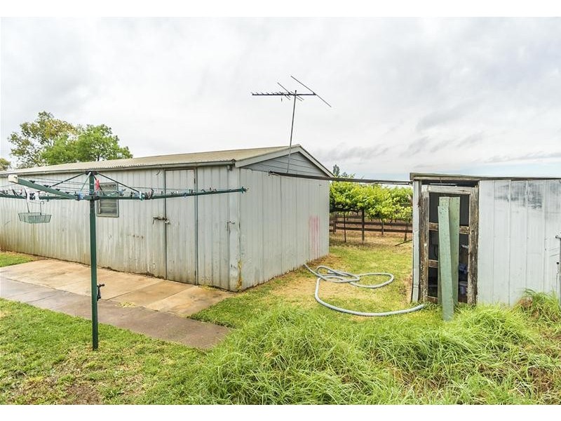 48 Mena Road, Birdwoodton VIC 3505