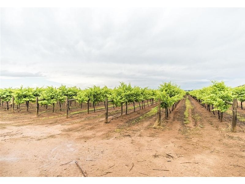 48 Mena Road, Birdwoodton VIC 3505