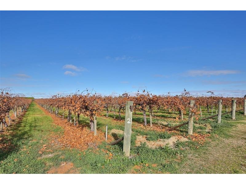 30 Boden Road, Merbein West VIC 3505