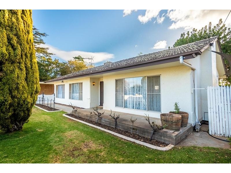 1067 Karadoc Avenue, Irymple VIC 3498