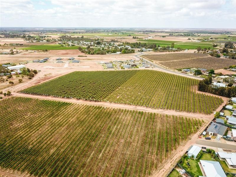 Indi Avenue Lot 2, Red Cliffs VIC 3496