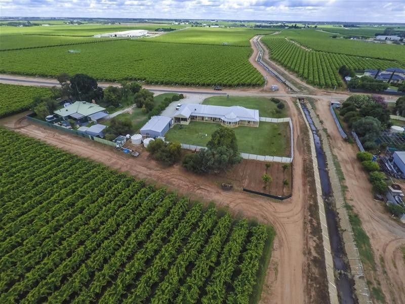 29 Derna Road, Robinvale VIC 3549