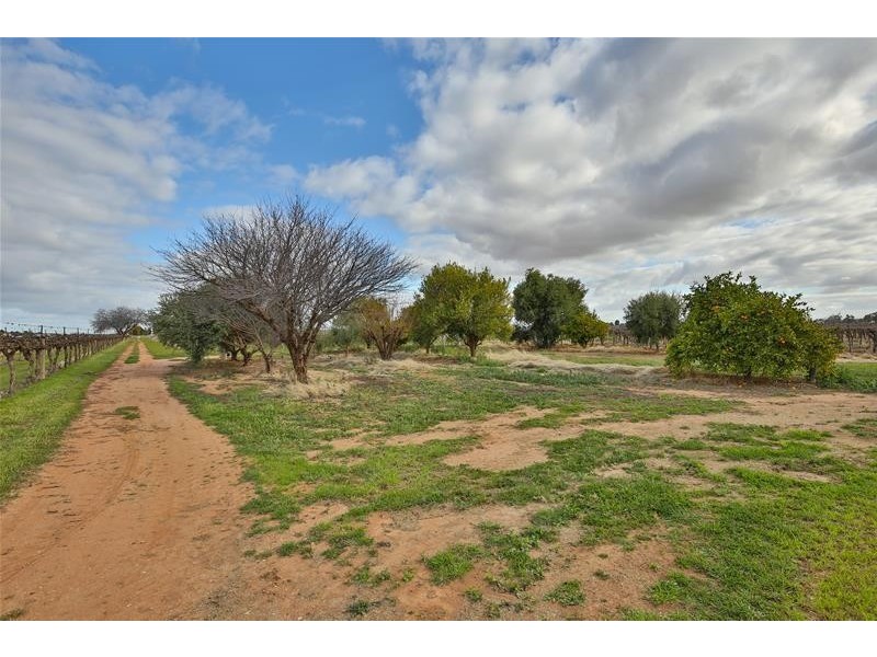 90a Fifth Street, Merbein VIC 3505