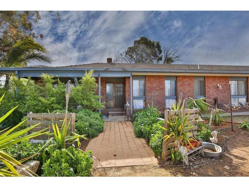 172 Dewry Avenue, Irymple VIC 3498