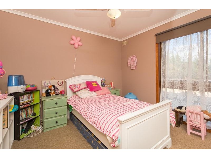 172 Dewry Avenue, Irymple VIC 3498