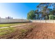 884 Irymple Avenue, Irymple VIC 3498