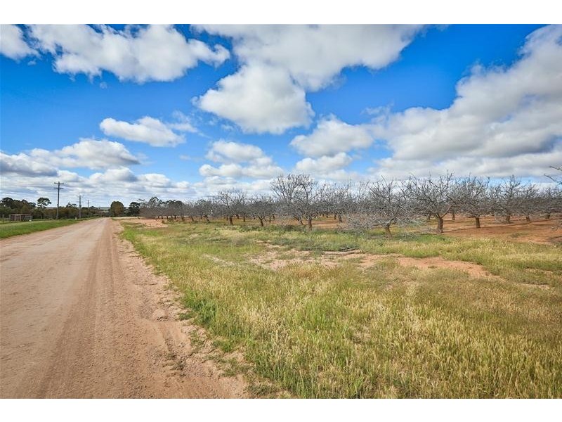 Lot 4/ Barnetts Road, Red Cliffs VIC 3496