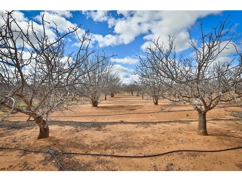 Lot 4/ Barnetts Road, Red Cliffs VIC 3496