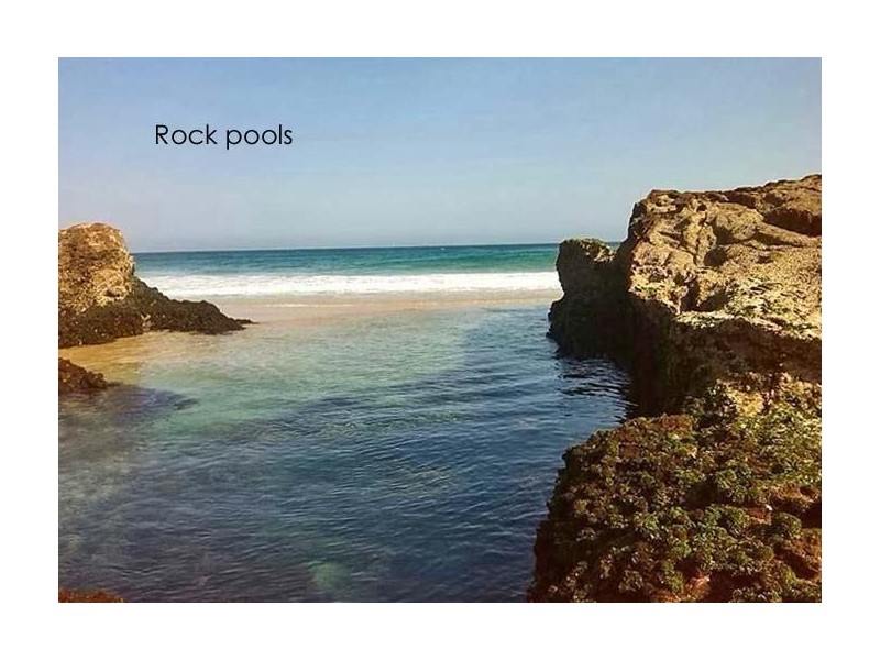 15 Hope Close, Dunbogan NSW 2443