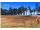 Lot 2 Wedgetail Drive, Lakewood NSW 2443