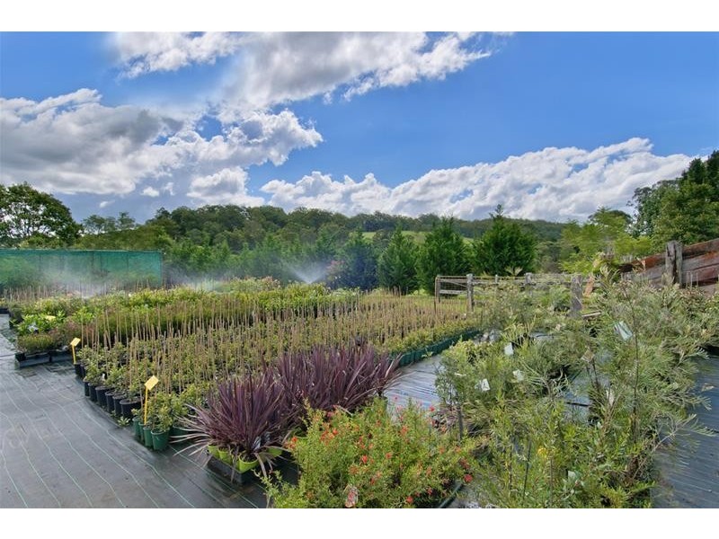 102 Kendall Road, Kew NSW 2439