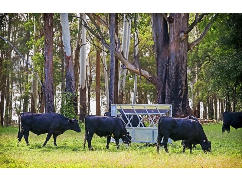 Lot 20 Watson Taylor Road, Middle Brother NSW 2443