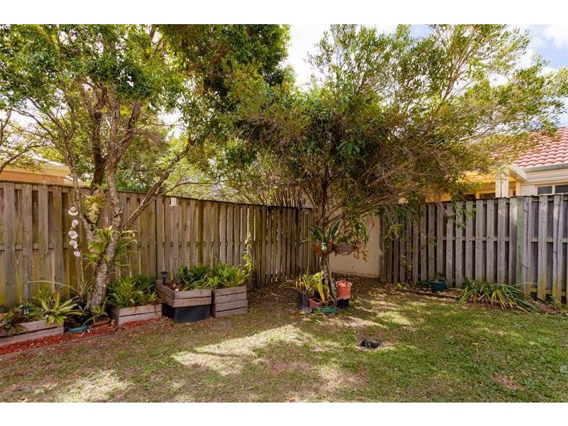 19 Elfin Street, Robina QLD 4226