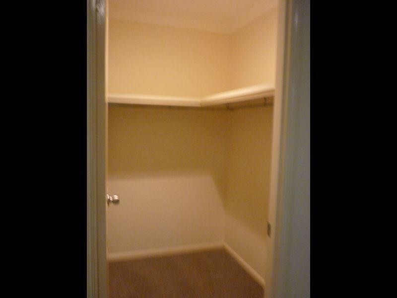 59 Cedarwood Crescent, Robina QLD 4226