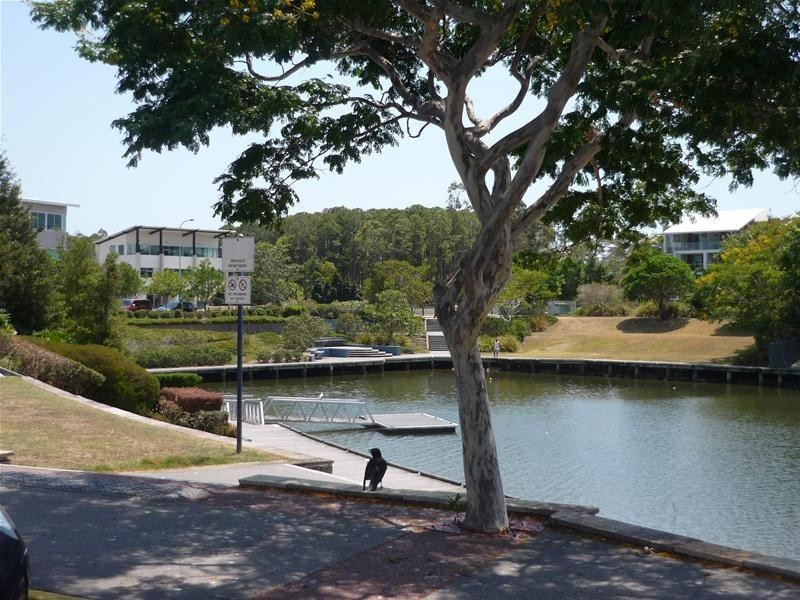 24/201 Varsity Parade, Varsity Lakes QLD 4227