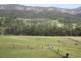 2952 Nerang Murwillumbah Road, Natural Bridge QLD 4211