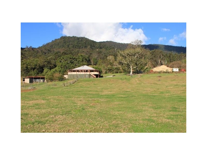 2952 Nerang Murwillumbah Road, Natural Bridge QLD 4211