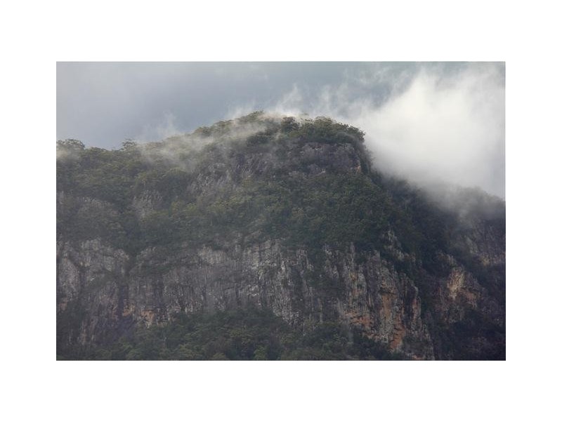 2952 Nerang Murwillumbah Road, Natural Bridge QLD 4211