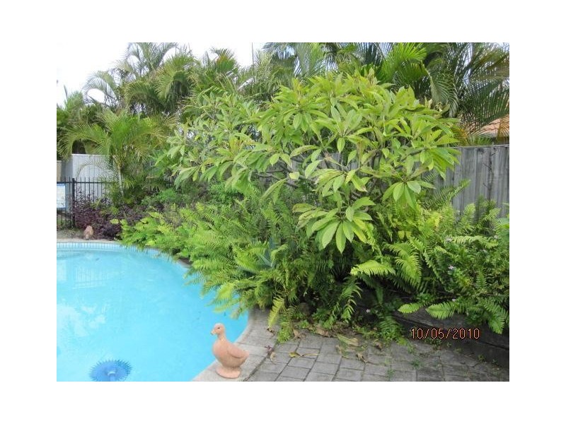 24 Camberwell Circuit, Robina QLD 4226