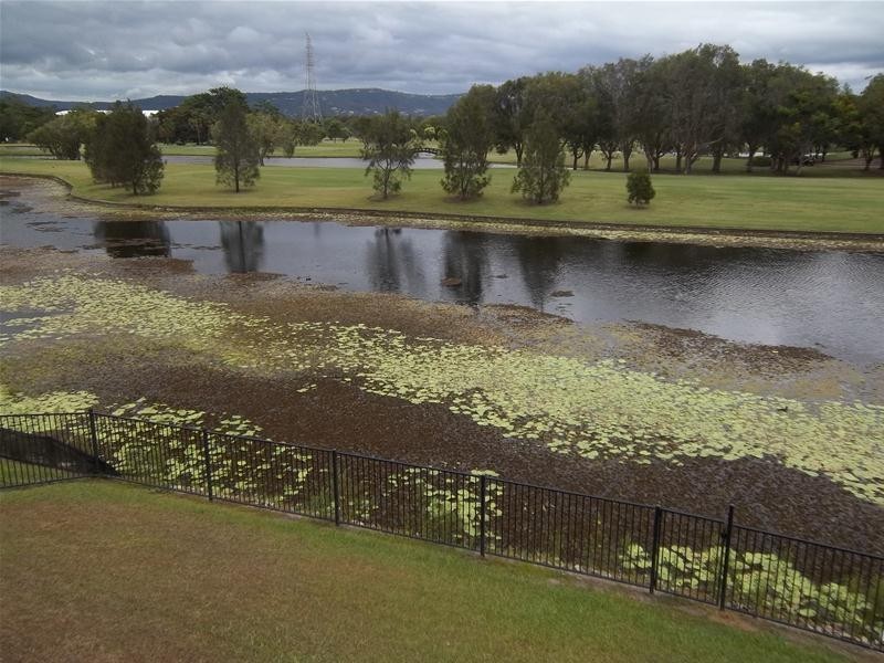 50 Concord Circuit, Robina QLD 4226