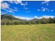 2296 Nerang-Murwillumbah Road, Numinbah Valley QLD 4211