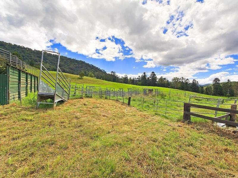 2296 Nerang-Murwillumbah Road, Numinbah Valley QLD 4211