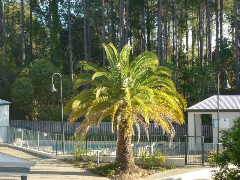 9/18 Geraldton Drive, Varsity Lakes QLD 4227