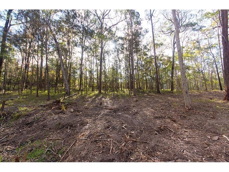 41 Coolibah Road, Gaven QLD 4211