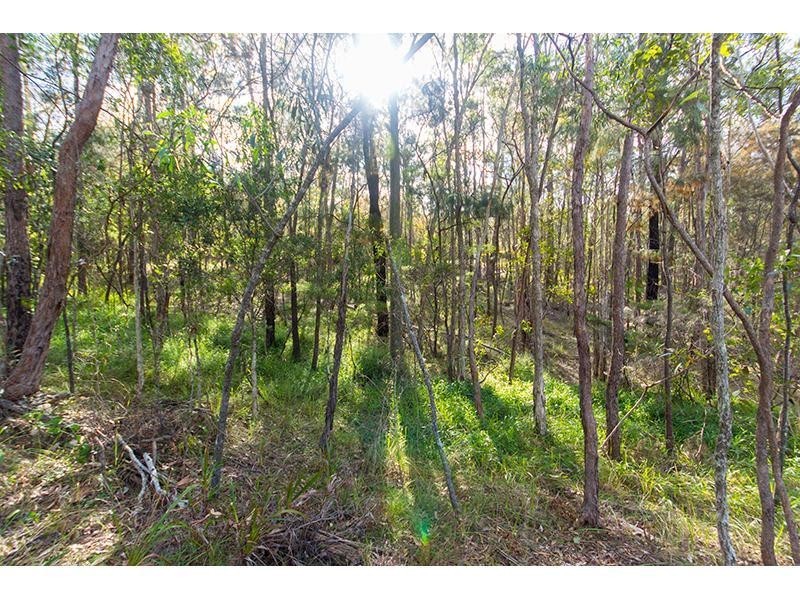 41 Coolibah Road, Gaven QLD 4211