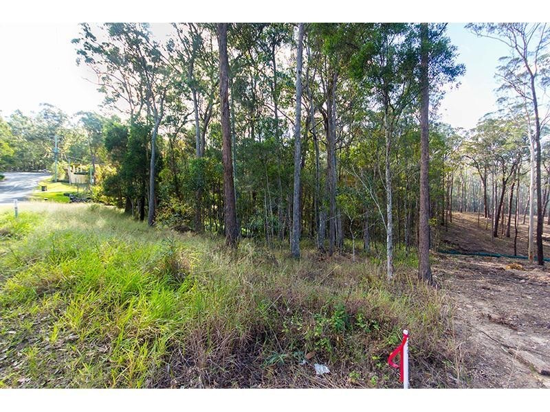 41 Coolibah Road, Gaven QLD 4211