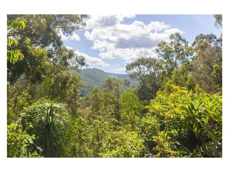 41 Witheren Road, Clagiraba QLD 4211