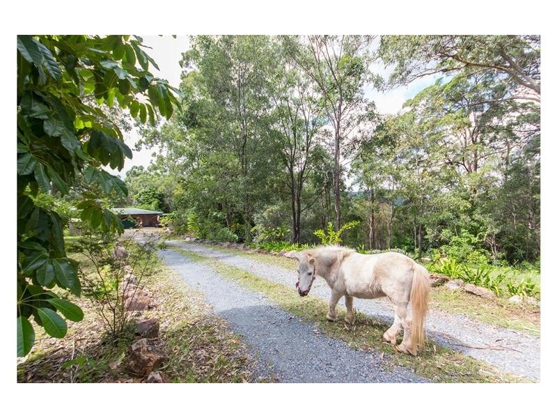 41 Witheren Road, Clagiraba QLD 4211